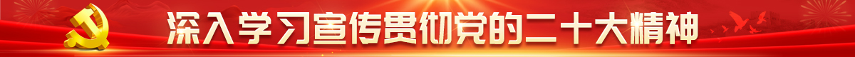 描述